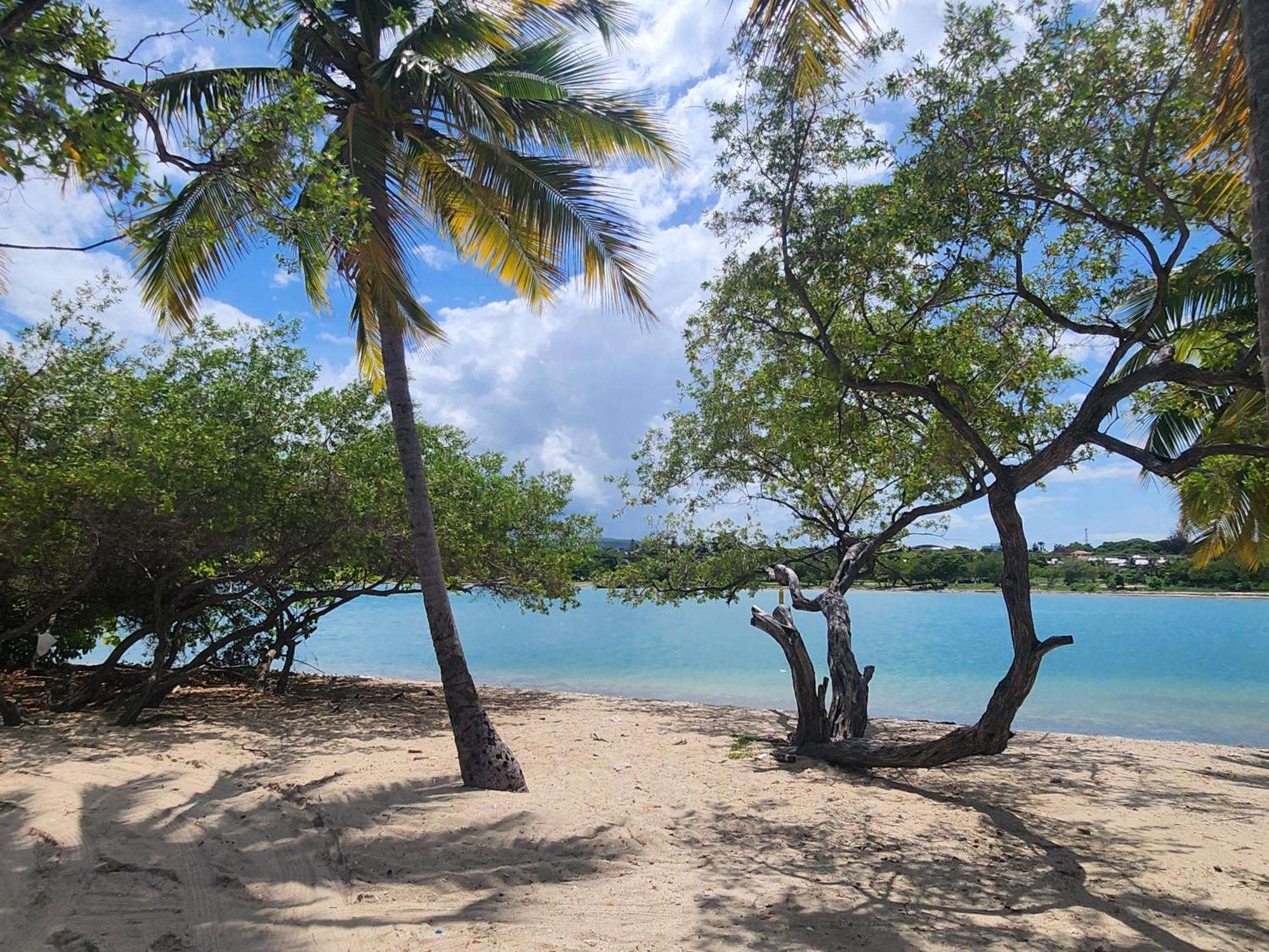Casita Linda Larimar - 2Br Apartment With Rooftop, Bay Views, Fast Wifi, Near Beach In Barahona Экстерьер фото